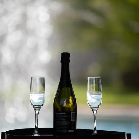 Villa Grande Arche Istria Liznjan