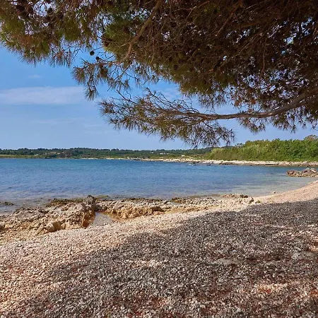 Villa Grande Arche Istria Liznjan