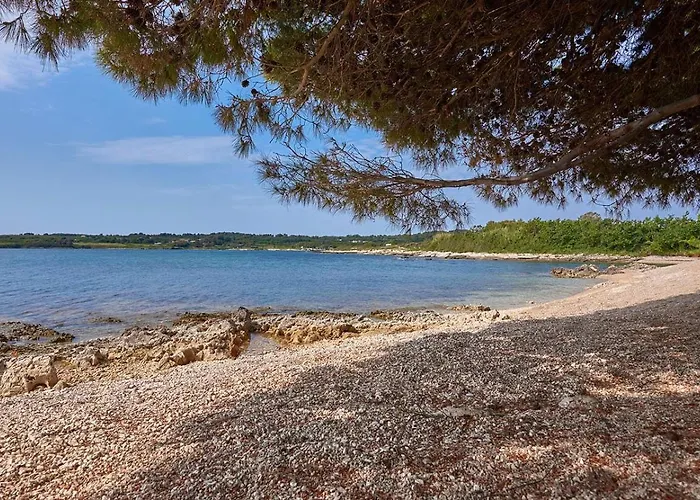 빌라 Grande Arche Istria Ližnjan